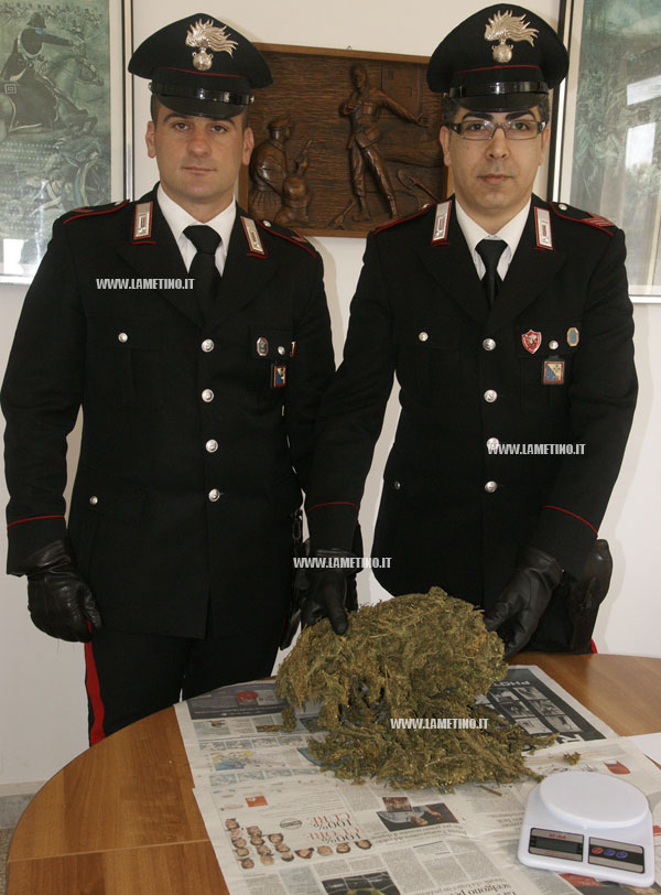 marijuana3