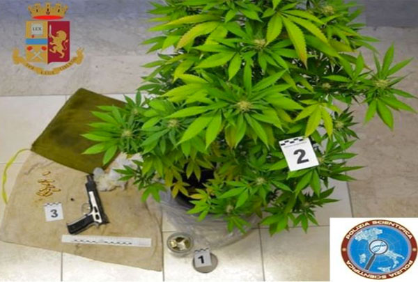 Arma con matricola abrasa, munizioni e marijuana: arrestato 34enne a Catanzaro