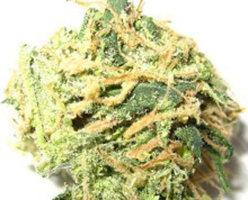 Calabria: Sorpreso con 53 grammi di marijuana, arrestato
