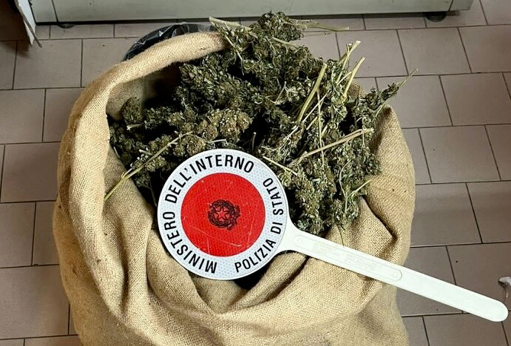 Sequestrati oltre 6 kg di marijuana nascosti in terreni incolti e casolari abbandonati nel Crotonese