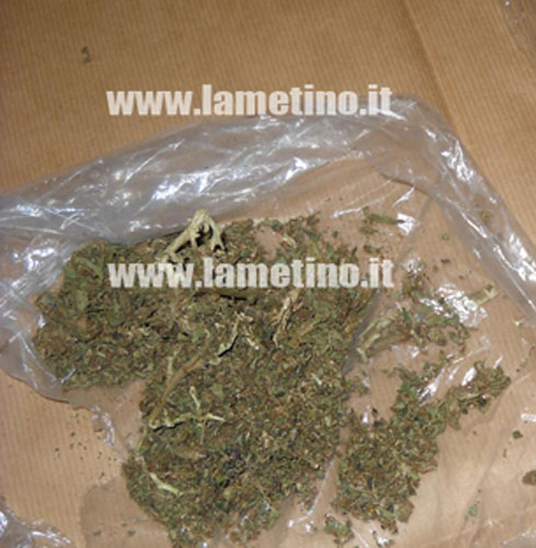 Calabria: Genero e suocera beccati con marijuana, entrambi ai domiciliari