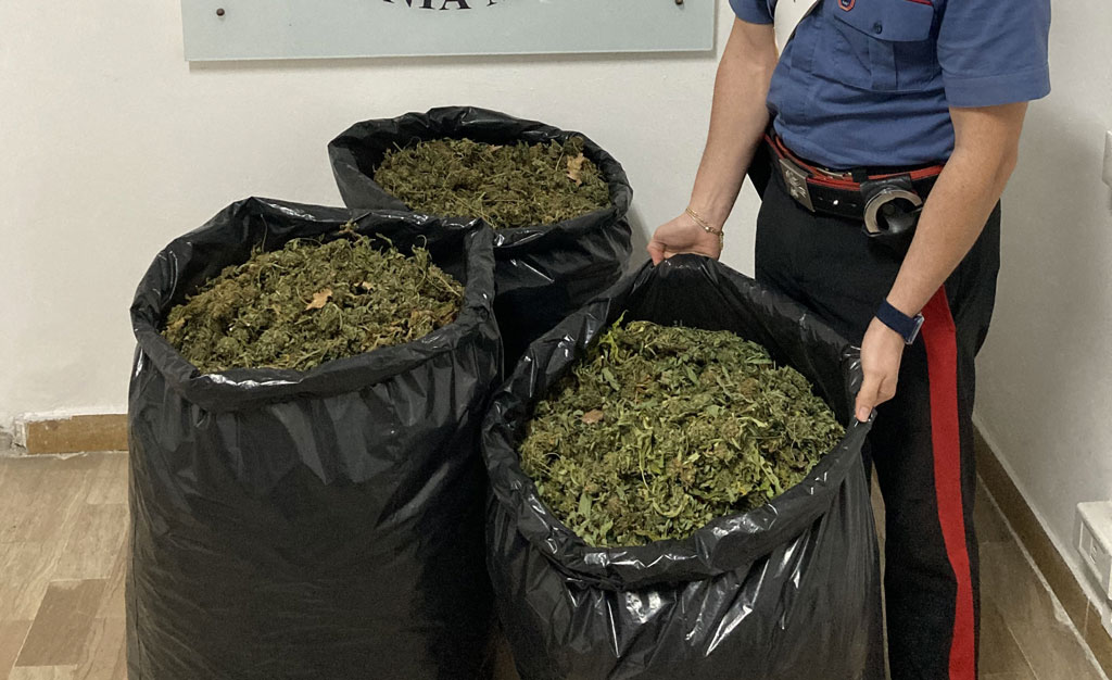 Carabinieri sequestrano tre sacchi di marijuana nel Reggino, 4 arresti