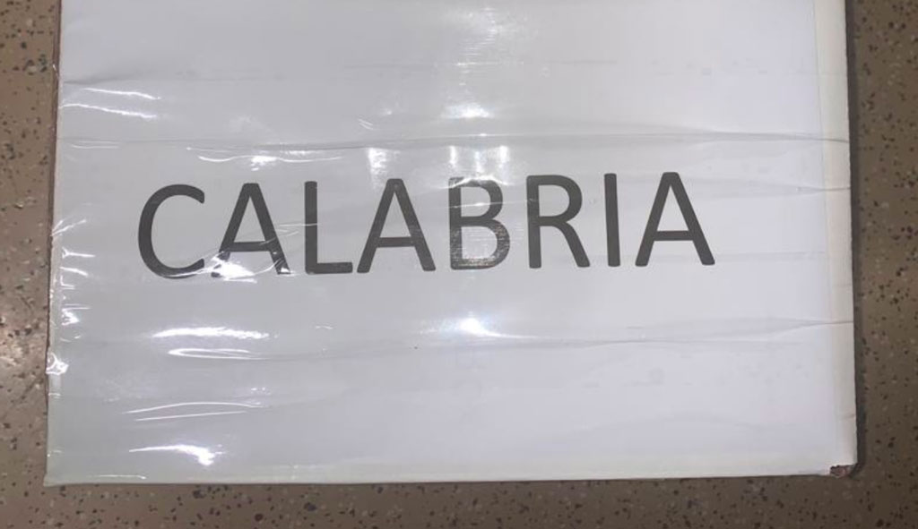 mascherine-lapo-calabria.jpg