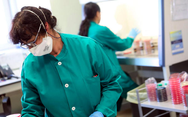 Coronavirus, le unità speciali per l'assistenza domiciliare saranno a Lamezia, Decollatura e San Pietro a Maida