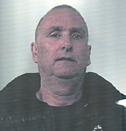 medile-francesco.jpg