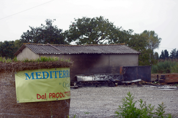 mediterranea_ortagrumi