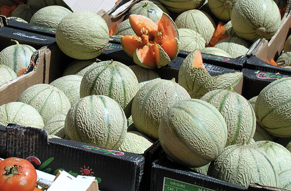Coldiretti, con caldo record ciliegie e meloni già sui banchi dei mercati