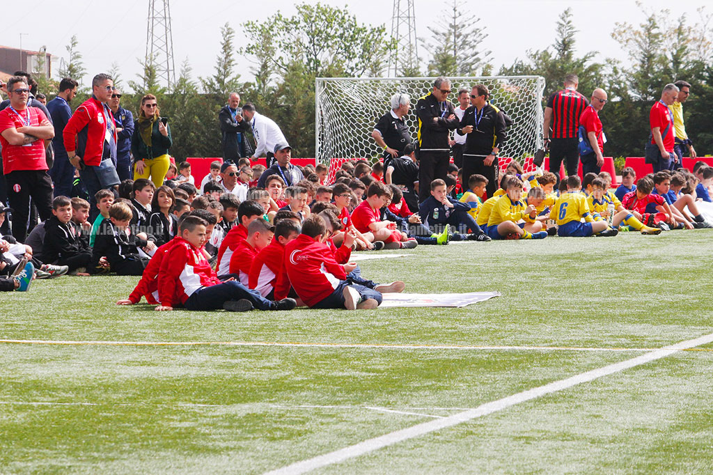 memorial-gallo-250420194.jpg