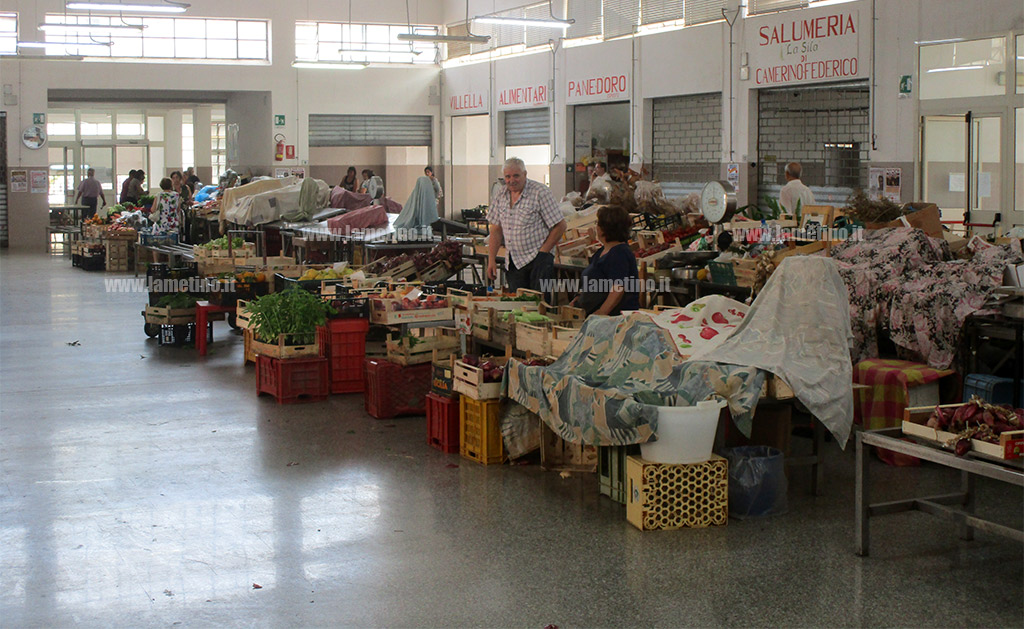 mercato-coperto-comunale-nicastro-20191.jpg