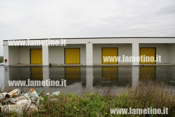 mercato-ortofrutticolo-rotoli.jpg