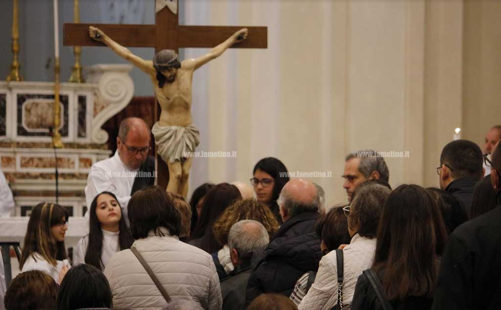 mestiari-201910.jpg