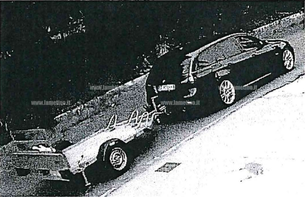 mezzatesta-gallo-2.jpg