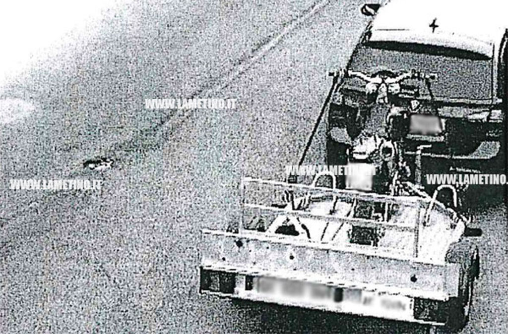 mezzatesta-gallo.jpg