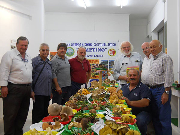 Gruppo micologico lametino, sapori d'autunno in mostra