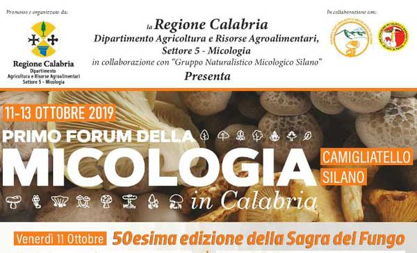 Il "Primo Forum della Micologia in Calabria" dall'11 al 13 ottobre a Camigliatello Silano