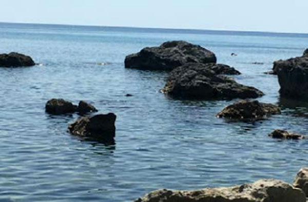 "Microalghe potenzialmente tossiche": online il rapporto 2019 Arpacal per la Calabria