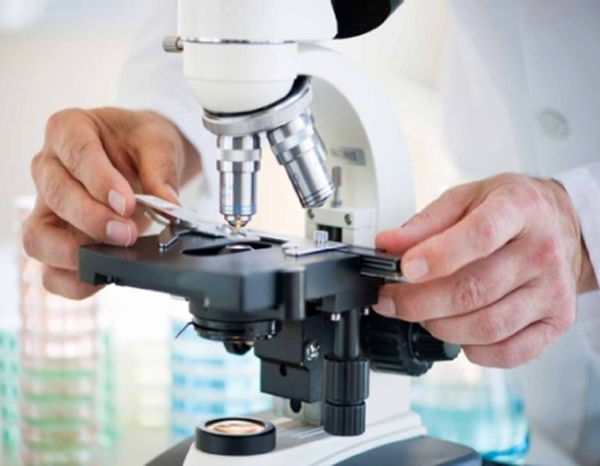 Proteina p53, nuovo approccio nella lotta contro i tumori