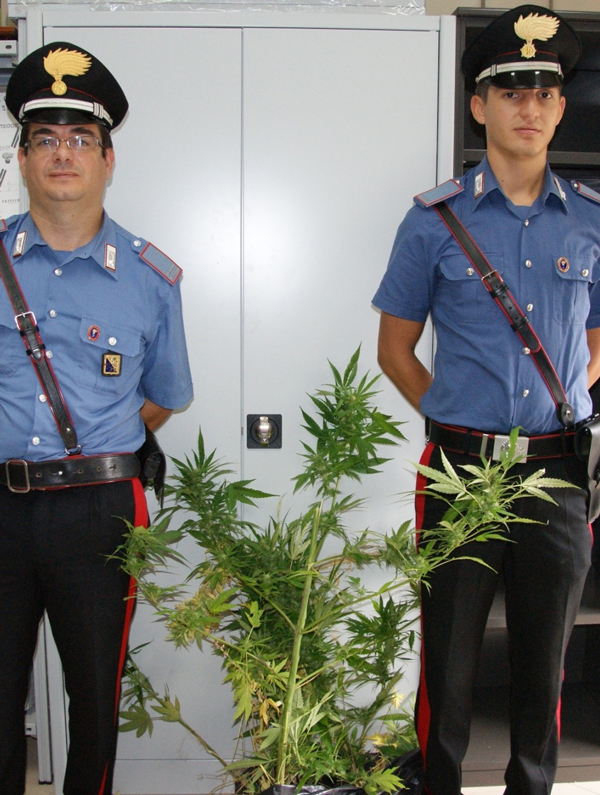 militari-piantagione.jpg