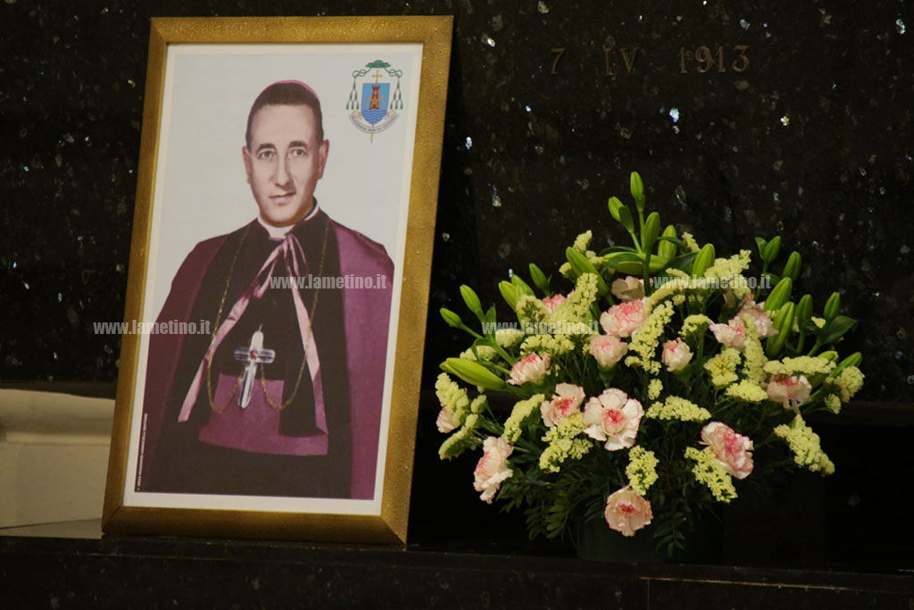moietta_74ffe_ee357.jpg