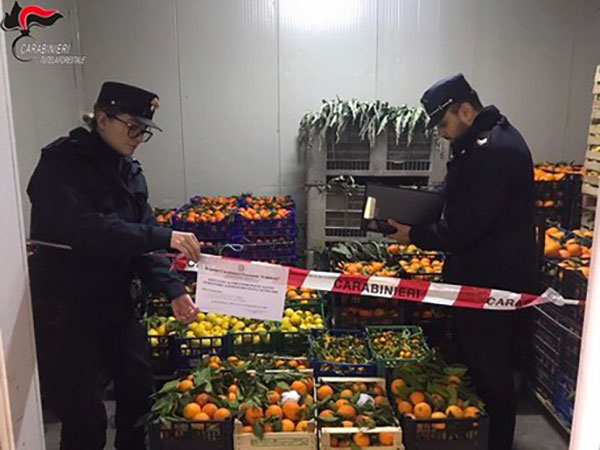 Sequestrate quattro tonnellate di agrumi e ortaggi a Montalto 