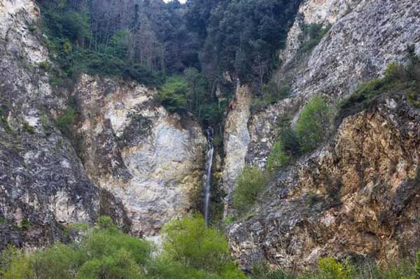 Lamezia, Associazione Santi 40 Martiri: ritrovata antica moneta su Monte Mitoio