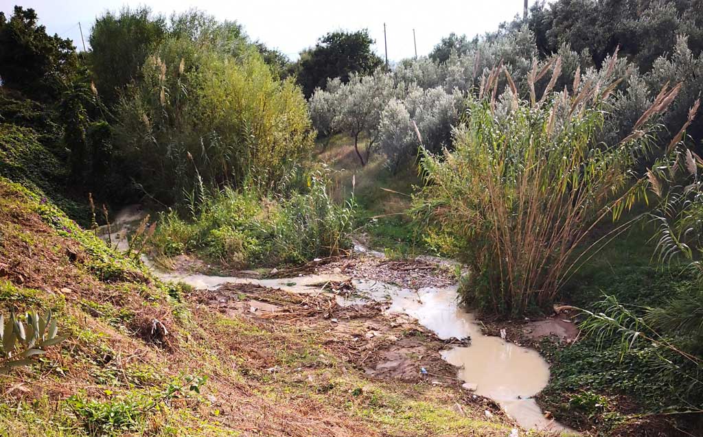 Lamezia, associazione Santi 40 Martiti: ritrovate antiche monete lungo torrente Spilinga