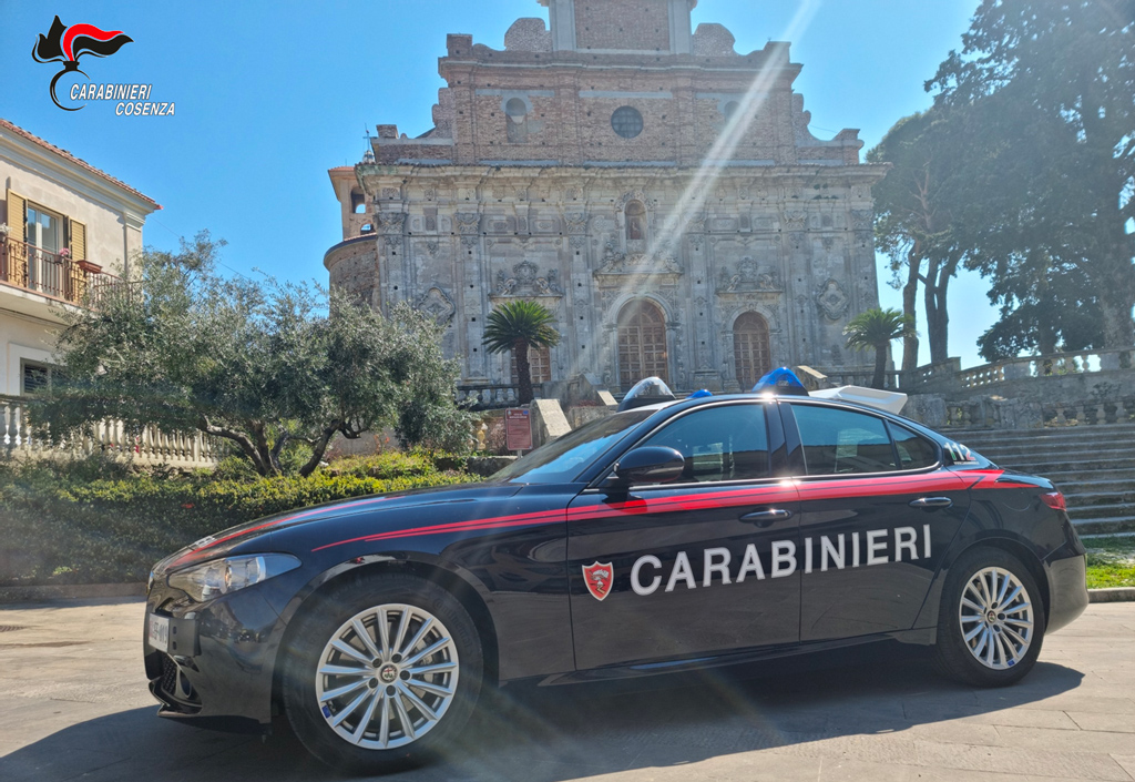 Madre e figlio sorpresi a coltivare una piantagione di marijuana, arrestati a Montalto Uffugo