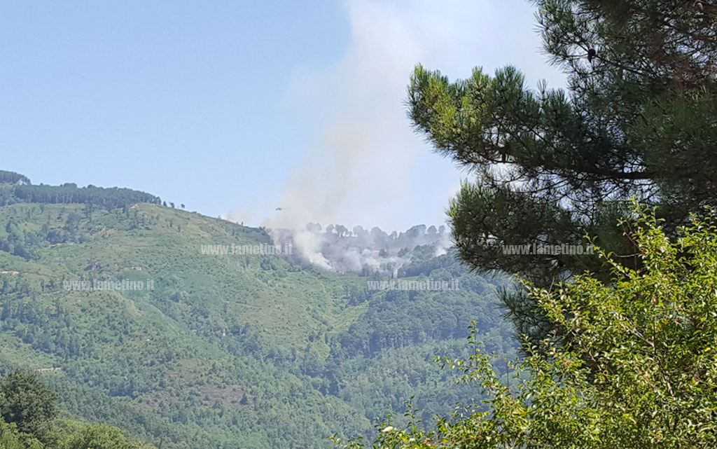 monte-mancuso-ok-1.jpg