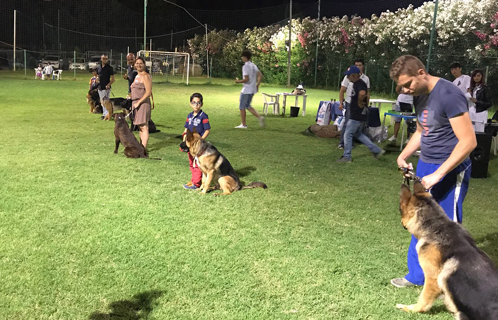 mostra-canina-2.jpg