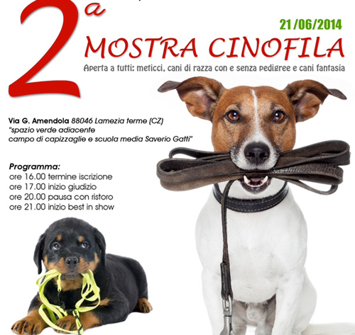 Lamezia: Associazione "Braccobaldo" presenta seconda edizione mostra cinofila