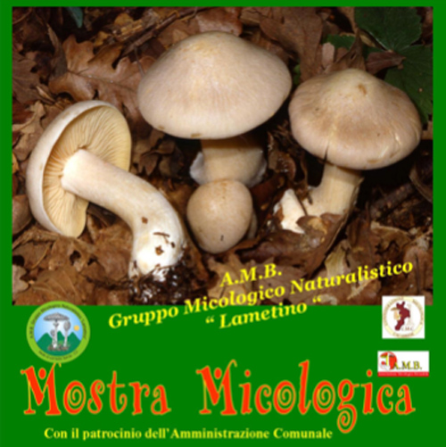 Lamezia: Nel weekend mostra micologica al chiostro di San Domenico