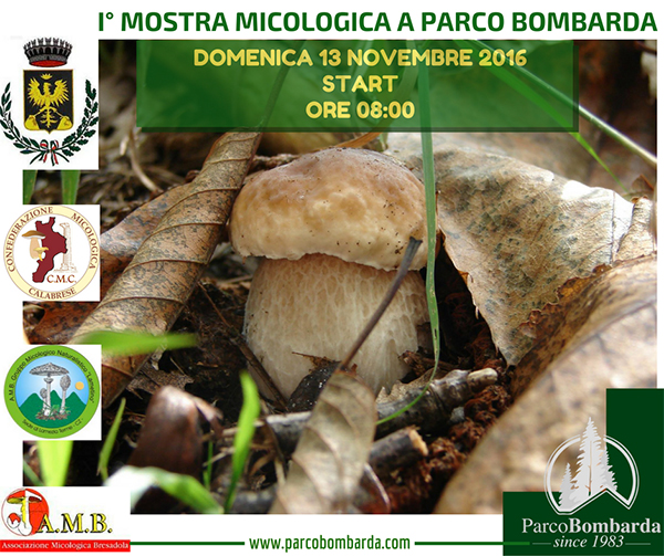 Prima mostra micologica a Martirano Lombardo il 13 novembre