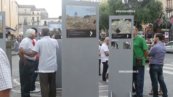 mostra-sos-calabria-4.jpg