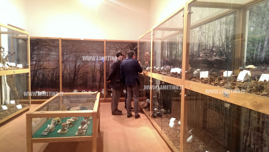 museo-micologico.jpg