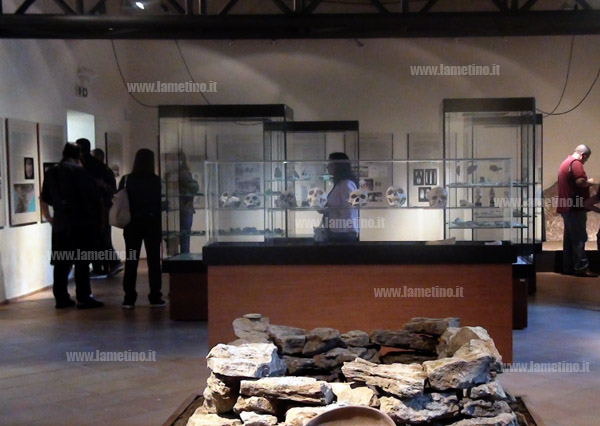 “Io vado al museo”, anche la Calabria aderisce all’iniziativa del Mibac con 20 ingressi gratuiti
