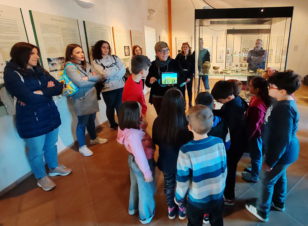 museo_ed48a.jpg