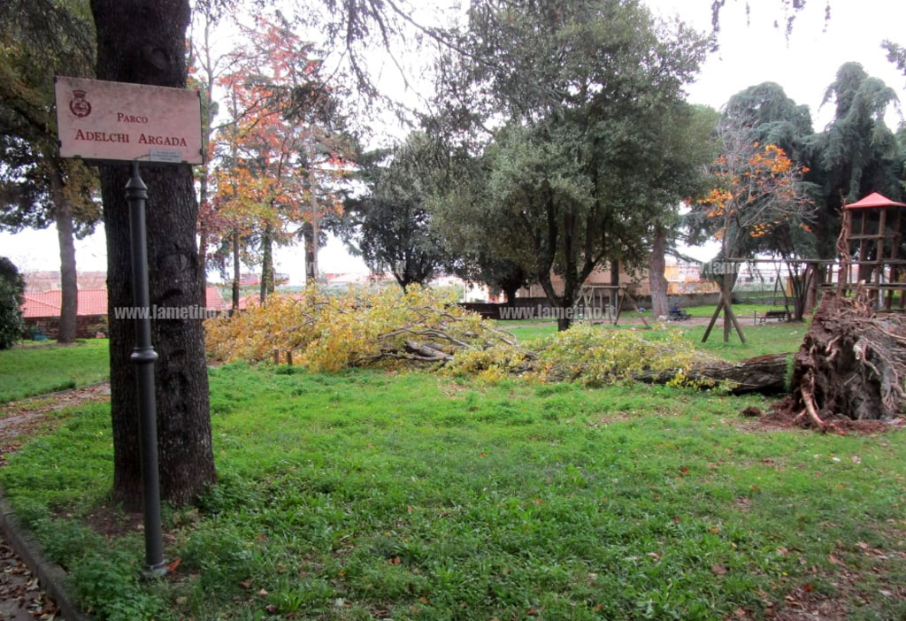 Lamezia, degrado al parco Argada tra rifiuti e alberi caduti