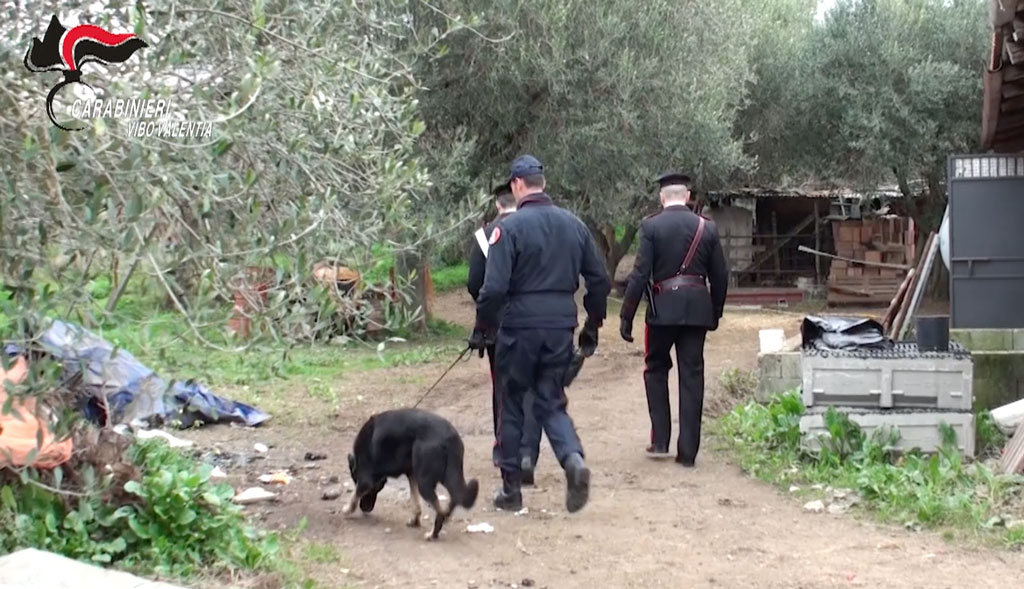 ‘Ndrangheta, disarticolata ‘ndrina nella provincia di Vibo Valentia - VIDEO