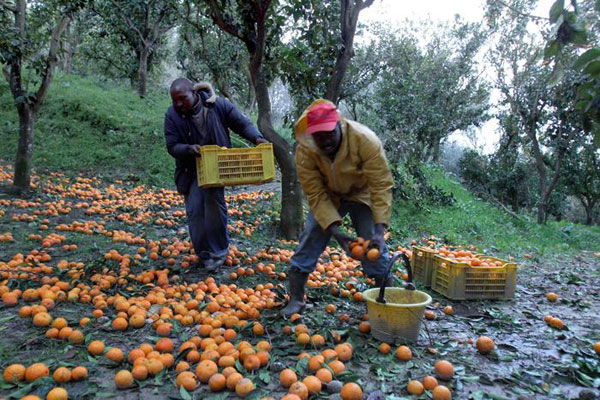 Tre ministri firmano “Protocollo contro caporalato e sfruttamento lavorativo in agricoltura”