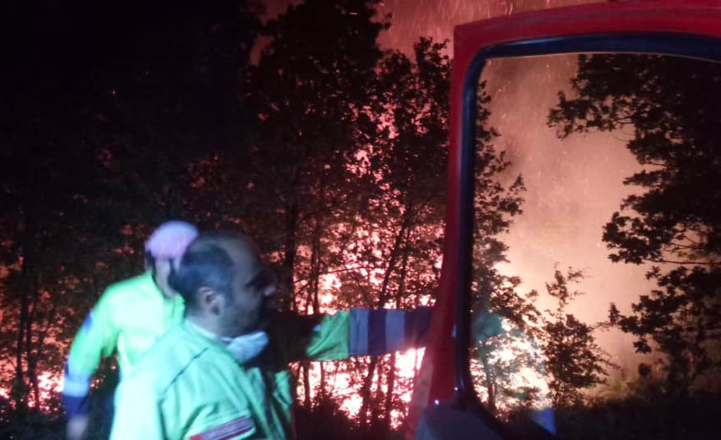 Vasto incendio distrugge quasi 7 ettari di bosco e culture a Motta Santa Lucia