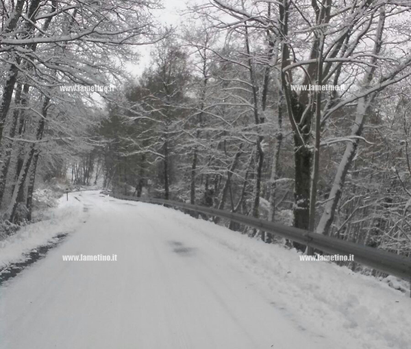 neve-2-01112017-114946.jpg