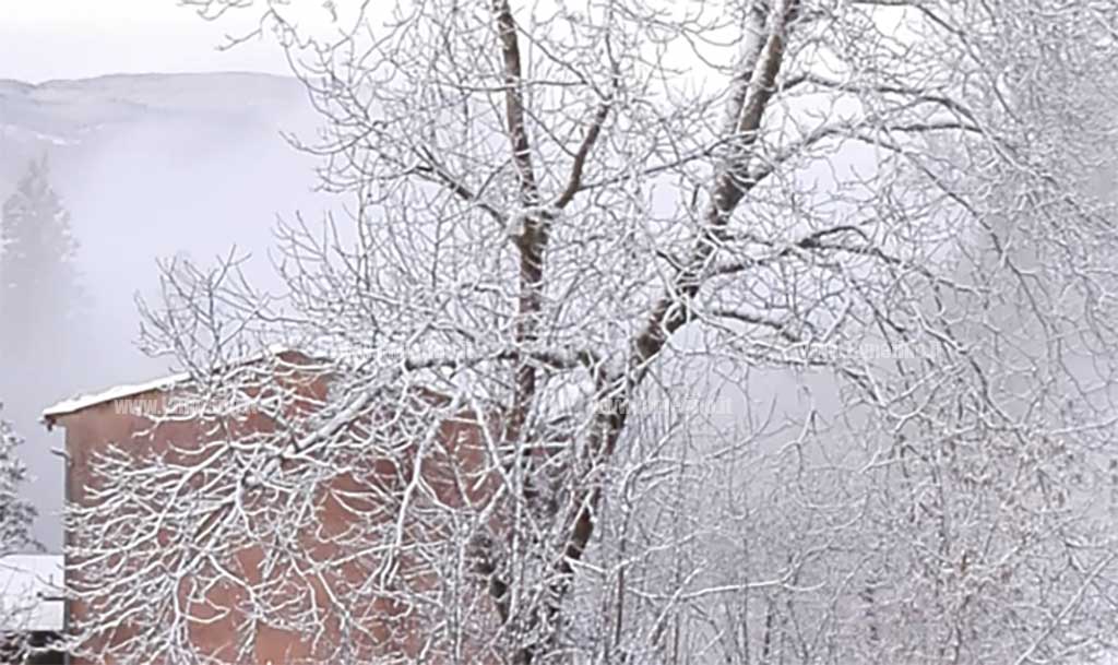 neve-20191.jpg