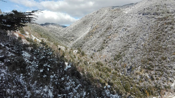 neve-calabria-2018.jpg