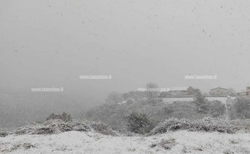 neve-catanzaro-15-2-2021.jpg