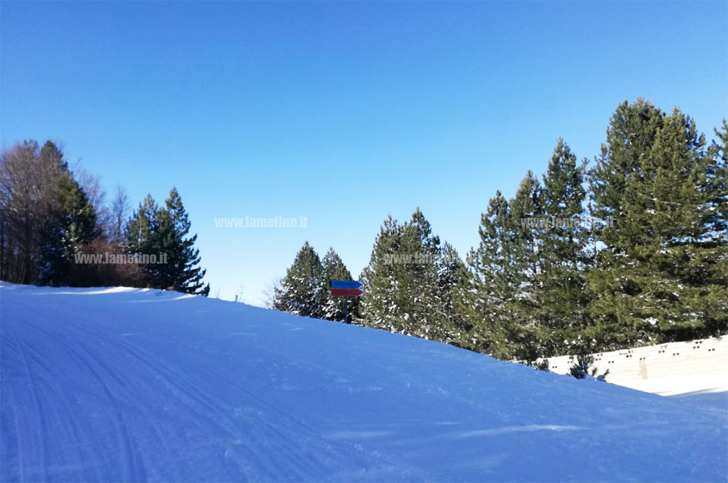 neve-in-sila-2.jpg