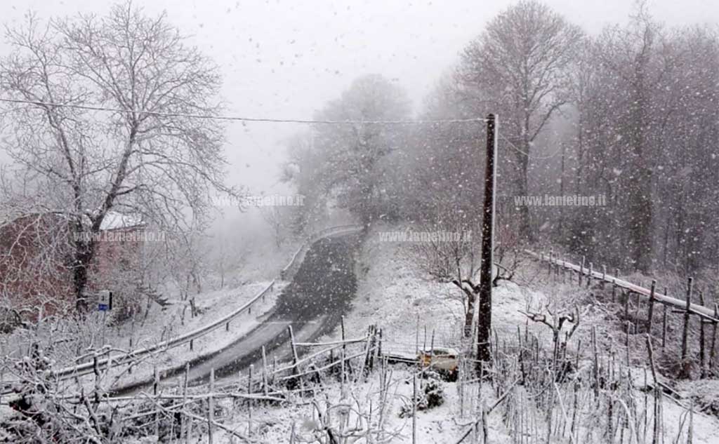 neve-marzoa-2019-1.jpg