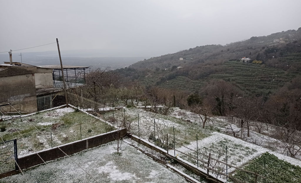 neve-platania-15-2-2021.jpg