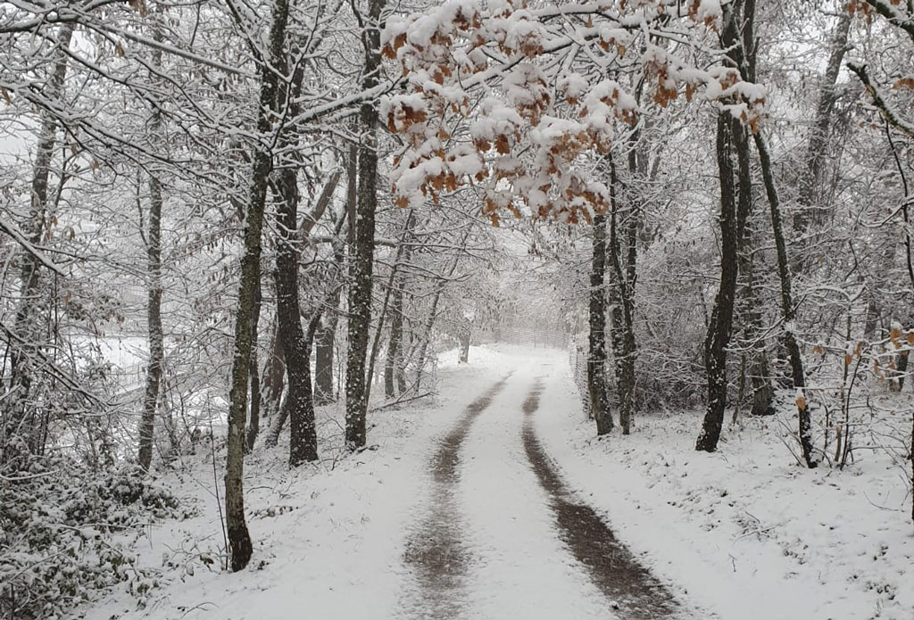 neve-reventino8fc4a2d1a88_37763.jpg