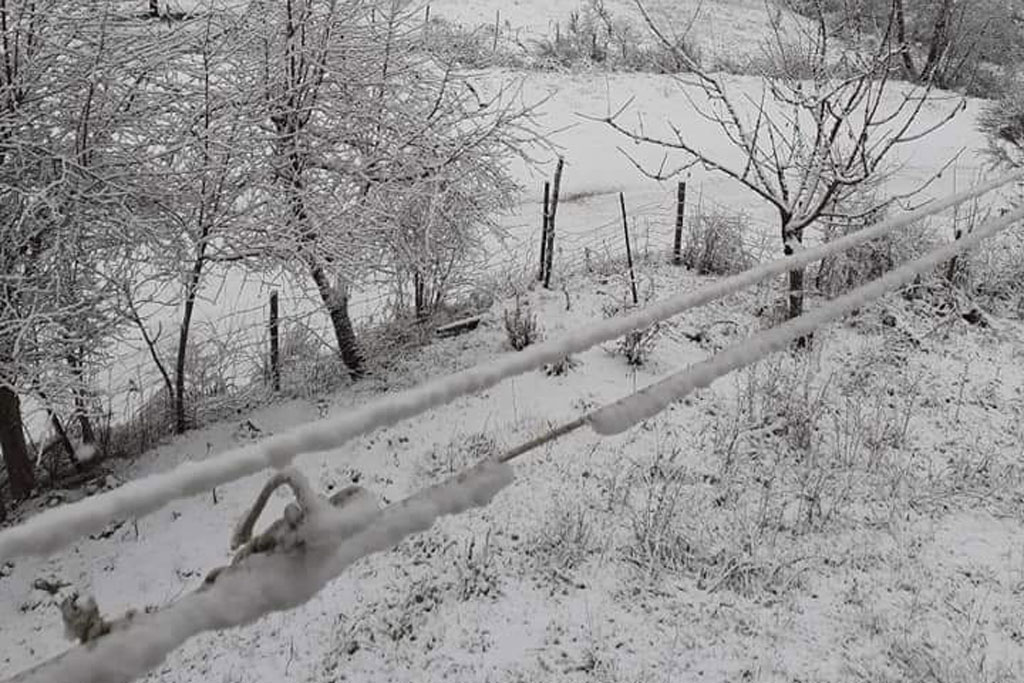 Maltempo in Calabria: neve in Sila e temperature invernali anche nel lametino 