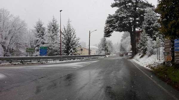 Pioggia e neve in Calabria, disagi su alcune strade in Sila per alberi caduti - VIDEO